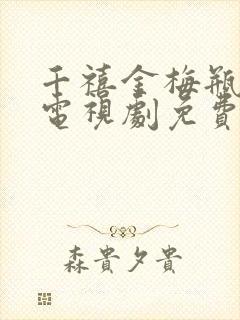 千禧金梅瓶全集电视剧免费观看