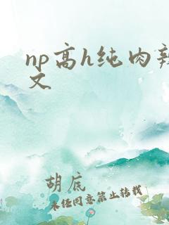 np高h纯肉辣文