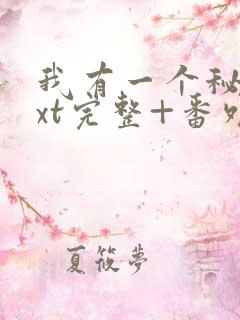 我有一个秘密txt完整+番外