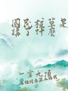 国民校草是女生讲了什么