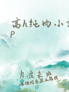 高h纯肉小说np