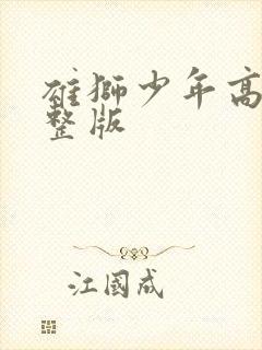 雄狮少年高清完整版