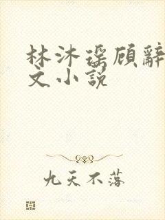 林沐瑶顾辞远全文小说