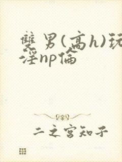 双男(高h)玩淫np伦