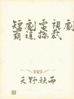 短剧电视剧推荐霸道总裁