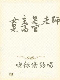 女主是老师男主是高官