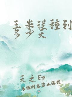 玉米从种到抽穗多少天