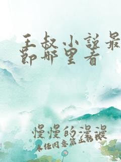 王叔小说最新章节哪里看
