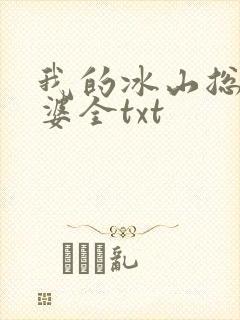 我的冰山总裁老婆全txt