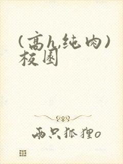 (高h,纯肉)校园