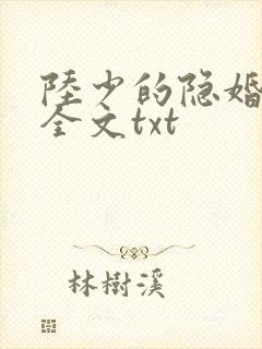 陆少的隐婚罪妻全文txt