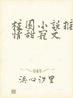 校园小说推荐言情甜宠文