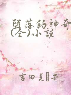 堕落的神奇女侠(全)小说