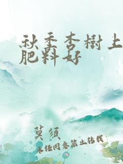 秋季杏树上什么肥料好