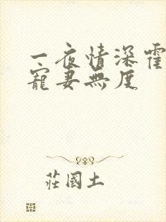 一夜情深霍先生宠妻无度