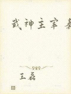 武神主宰 秦尘