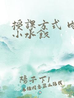 授课方式 肉馅小水饺