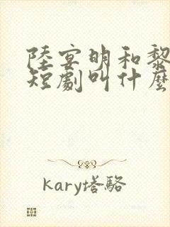 陆宴明和黎甄的短剧叫什么