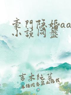 豪门隐婚aa制小说网盘