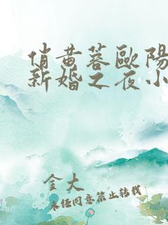 俏黄蓉欧阳克的新婚之夜小说