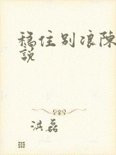 稳住别浪陈诺小说