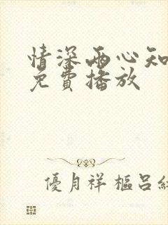情深两心知短剧免费播放