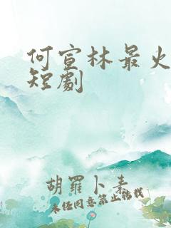 何宣林最火十部短剧