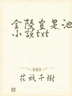 金陵岂是池中物小说txt
