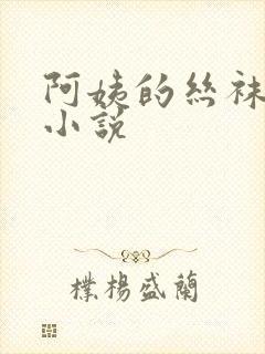 阿姨的丝袜美腿小说