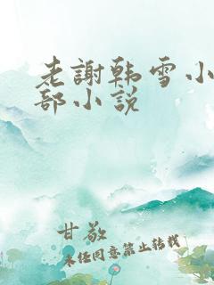 老谢韩雪小说全部小说