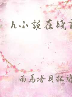h小说在线读