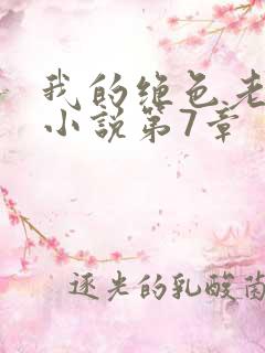 我的绝色老板娘小说第7章