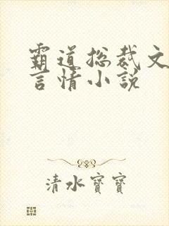 霸道总裁文现代言情小说