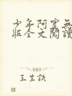 少年阿宾无删减版全文阅读