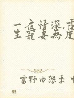 一夜情深,霍先生宠妻无度小说最新