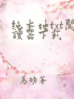 纯本地txt阅读器下载