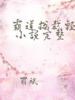 霸道总裁轻轻爱 小说完整