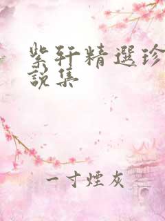 紫轩精选珍藏小说集