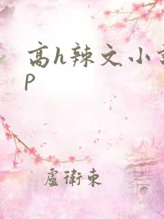 高h辣文小说np
