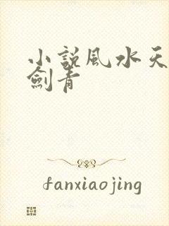小说风水天医皮剑青