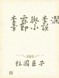 李霖与李澜最新章节小说