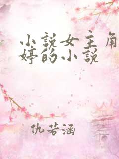 小说女主角叫王婷的小说