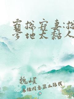 霸总宠妻:总裁爹地太黏人