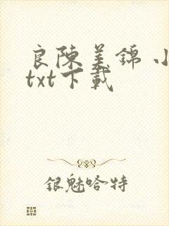良陈美锦 小说txt下载