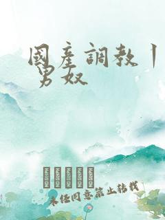 国产调教丨vk 男奴