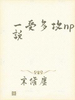 一受多攻np小说