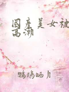 国产美女被爽到高潮