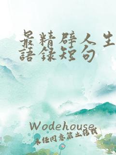 最精辟人生哲理语录短句