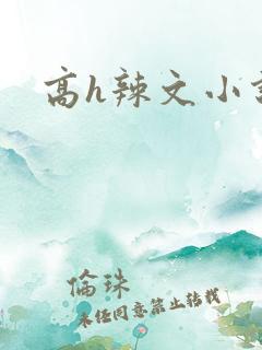 高h辣文小说h