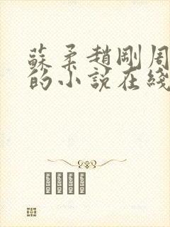 苏柔赵刚周明权的小说在线阅读全文最新